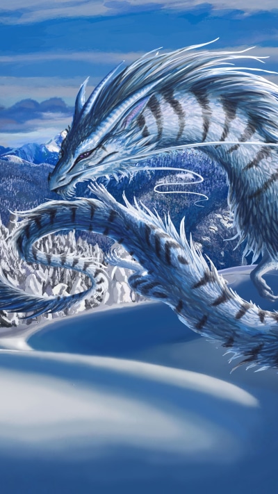 Fantasy Dragon, Snow, Winter, 1440x2560