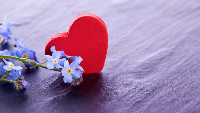 love image, heart, flower, 4k
