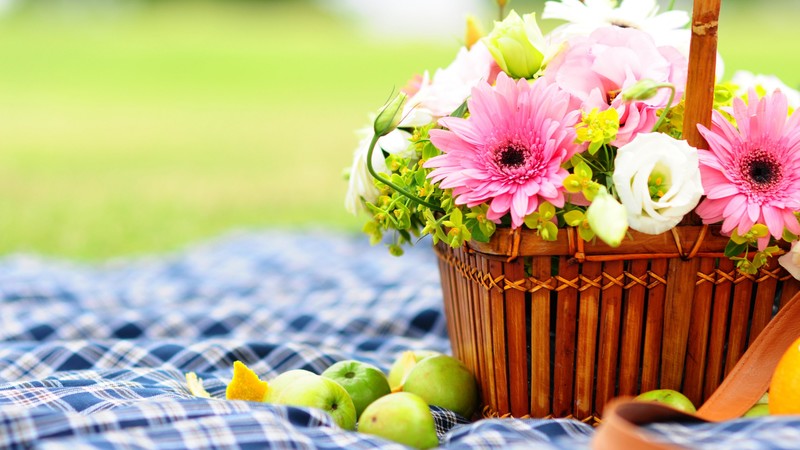 Gerbera, 4k, Flowers, picnic, bascet, apple