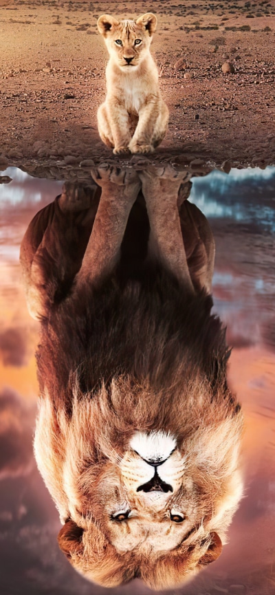 Movie The Lion King (2019), Lion, Reflection, 1284x2778