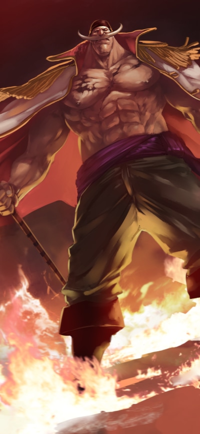 Anime One Piece, Edward Newgate, 1242x2688