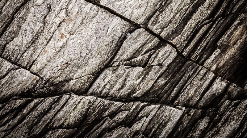 texture, stone, rock, fossil, 4k