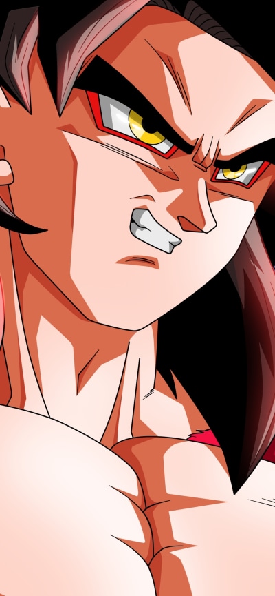 Anime Dragon Ball Super, Goku, Dragon Ball GT, Black Hair, Super Saiyan 4, 1242x2688