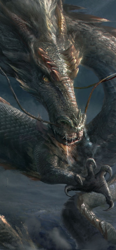 Fantasy Dragon, Oriental, 1242x2688