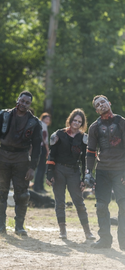 TV Show The Walking Dead, 1242x2688