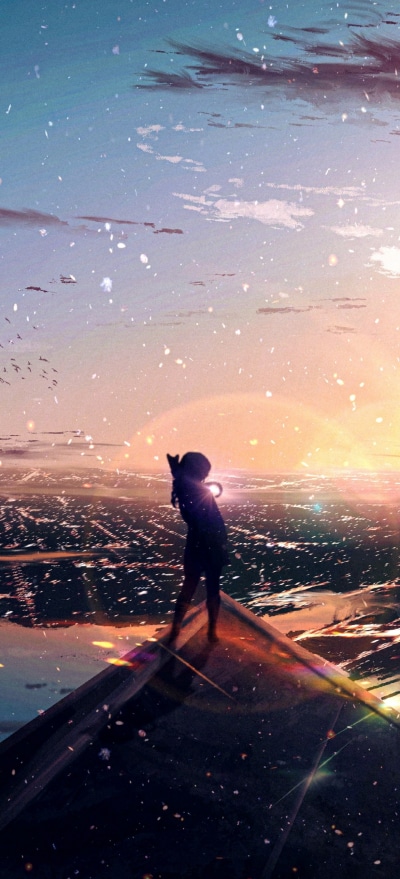 Anime Sunset, Cat, Sky, 1228x2700