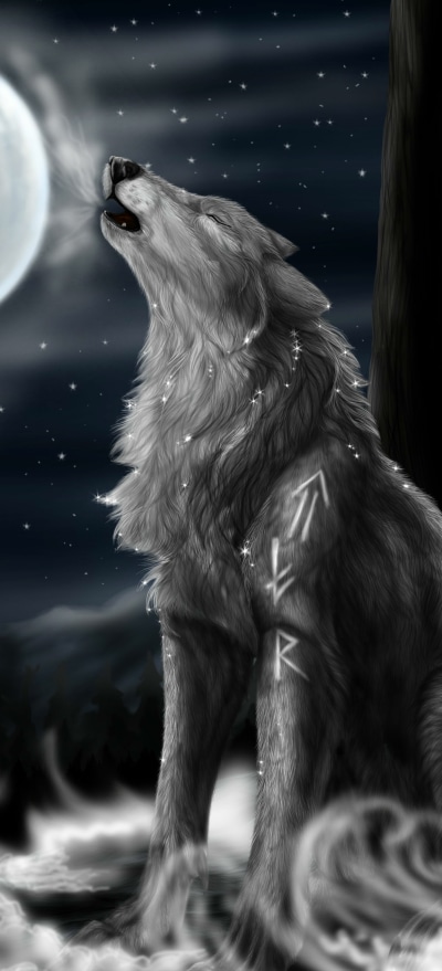 Animal Wolf, 1228x2700