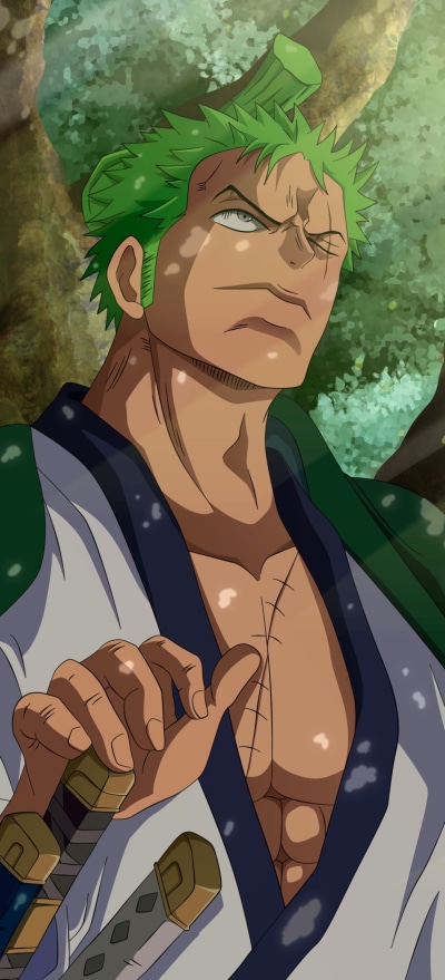 Anime One Piece, Roronoa Zoro, 1228x2700