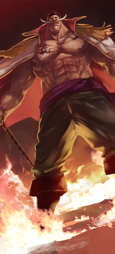 Anime One Piece, Edward Newgate, 1228x2700