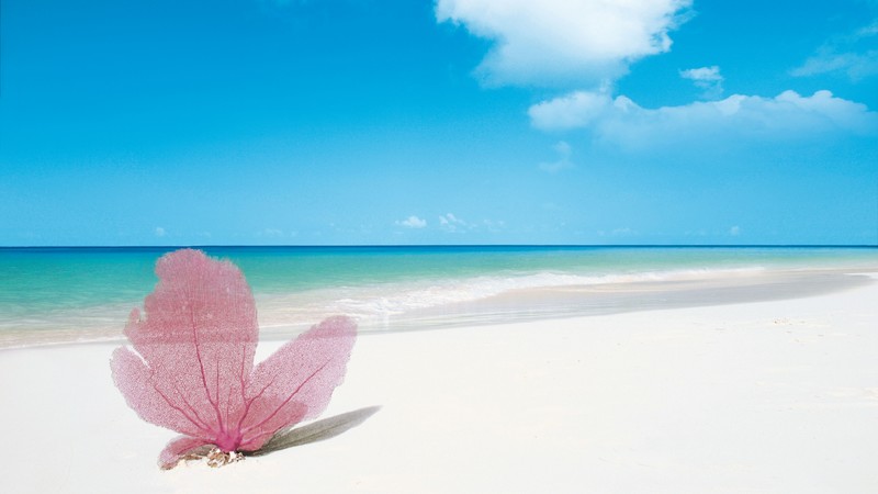 Playa Paraiso, Cayo Largo, Cuba, Best beaches of 2016, Travellers Choice Awards 2016