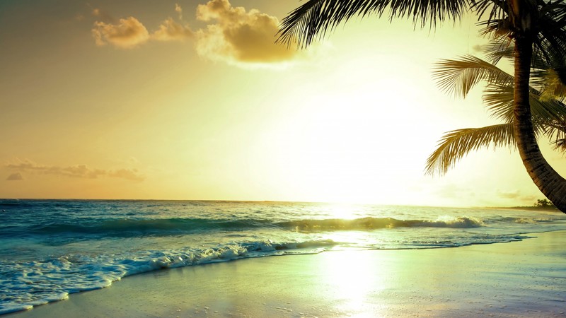 tropical beach, 4K, paradise, sunset