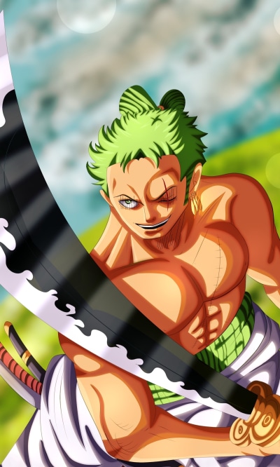 Anime One Piece, Roronoa Zoro, 1200x2000