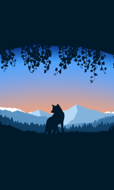 Artistic Minimalist, Wolf, Cave, 1200x2000