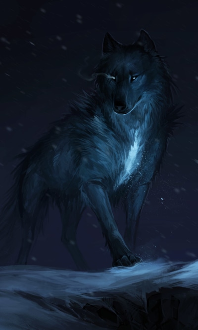 Fantasy Wolf, Night, 1200x2000