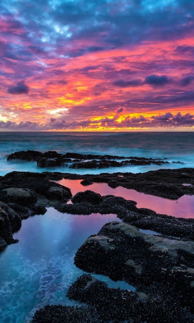 Earth Sunset, Sky, Sea, Ocean, 1200x2000