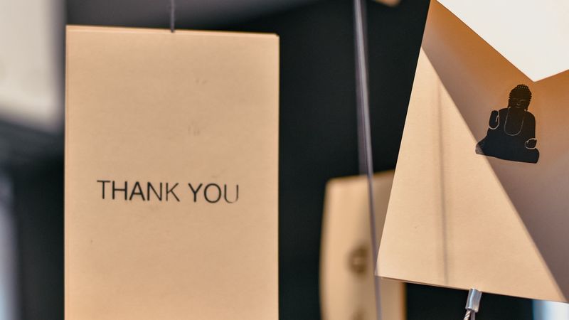 thank you, inscription, words, phrase, 4k
