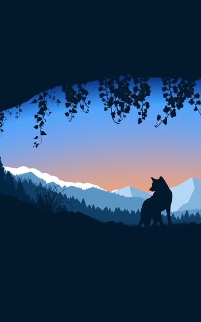 Artistic Minimalist, Wolf, Cave, 1200x1920