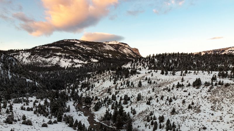mountains, rocks, forest, river, stream, 4k