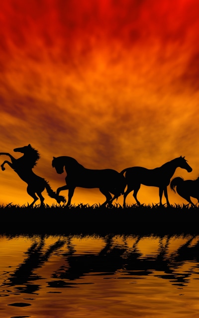 Animal Horse, Silhouette, Reflection, Orange (Color), Sunset, 1200x1920