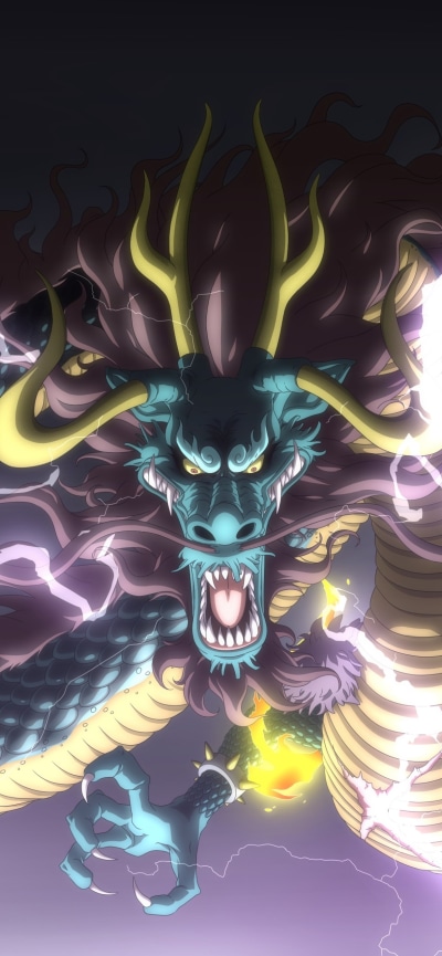 Anime One Piece, Kaido (One Piece), 1170x2532