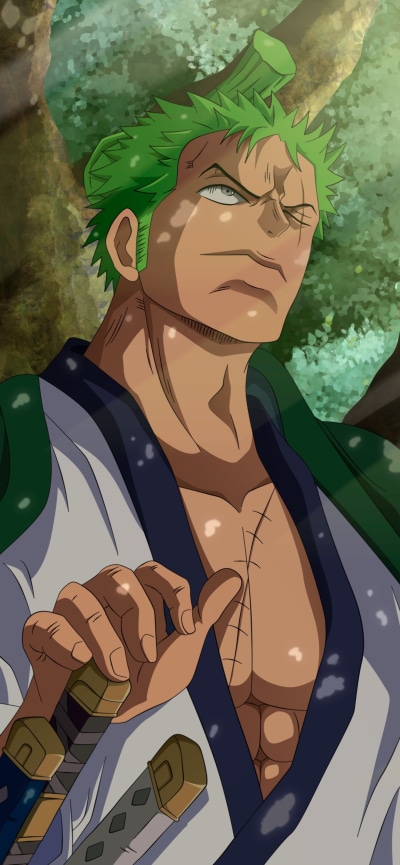 Anime One Piece, Roronoa Zoro, 1170x2532
