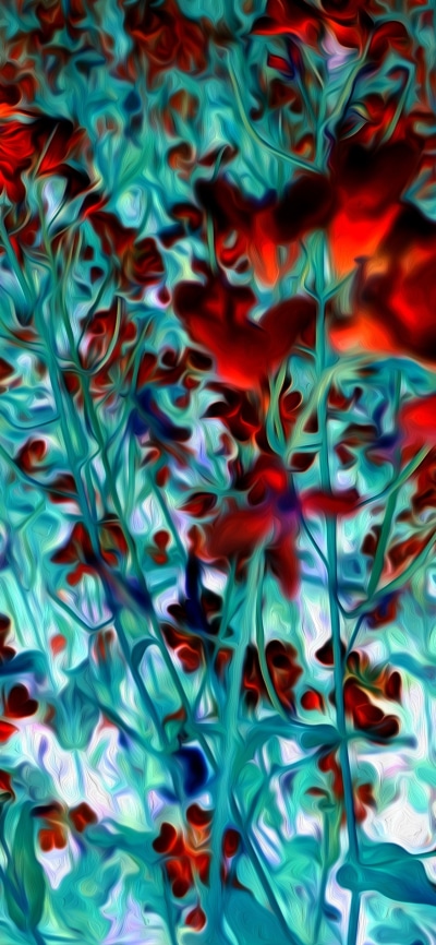 Artistic Flower, Oil Painting, Red Flower, 1125x2436