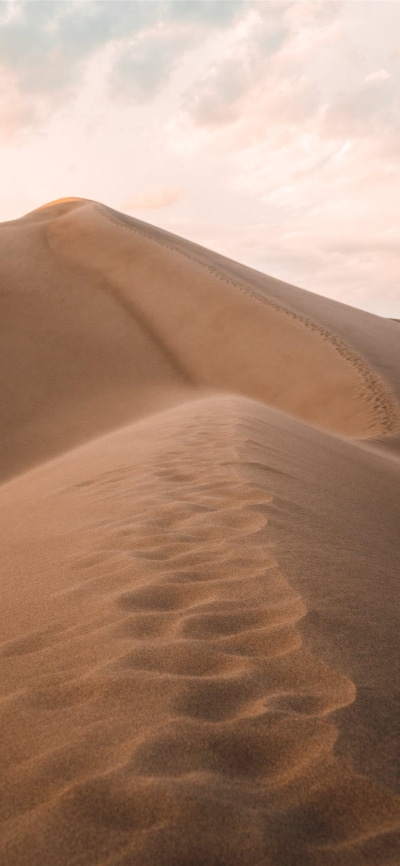 Movie Dune (2021), 1125x2436