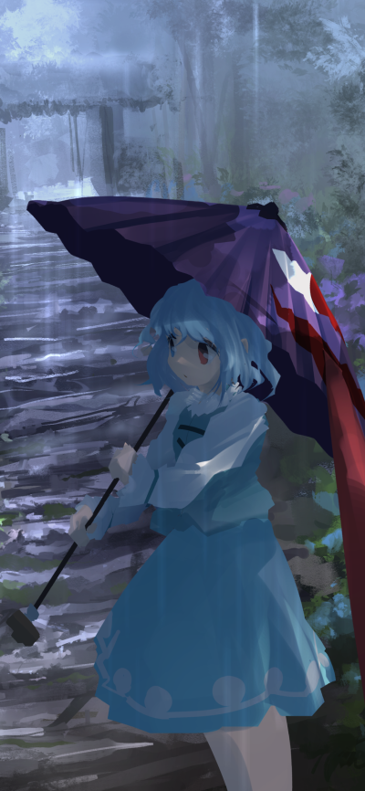 Anime Touhou, Kogasa Tatara, Umbrella, 1125x2436