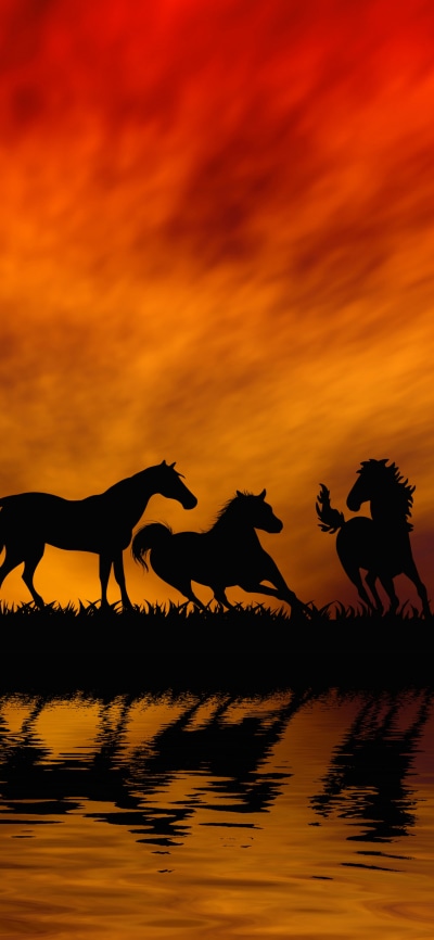 Animal Horse, Sunset, Reflection, Silhouette, Orange (Color), 1125x2436
