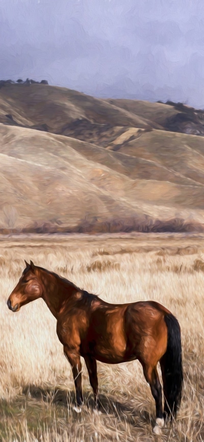 Animal Horse, Oil Painting, Painting, 1125x2436