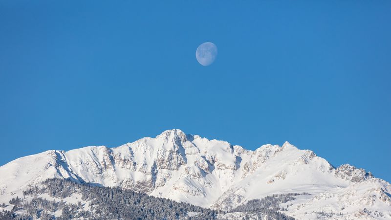 moon, mountains, forest, snow, snowy, 4k