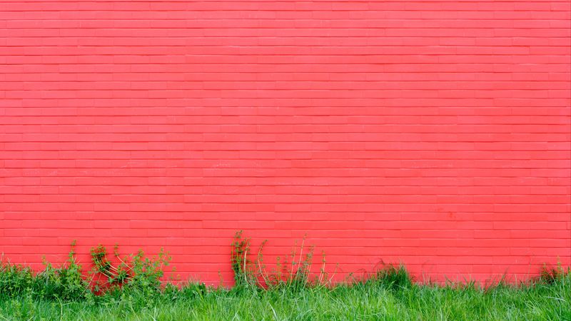 wall, grass, pink, bricks, 4k