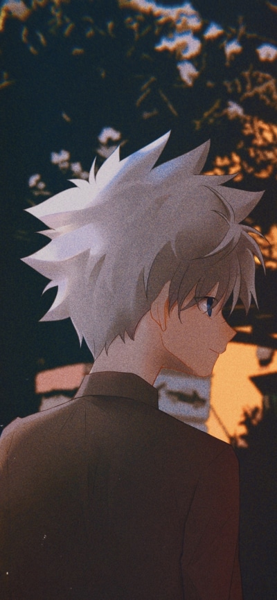 Anime Hunter x Hunter, Gon Freecss, 1125x2436