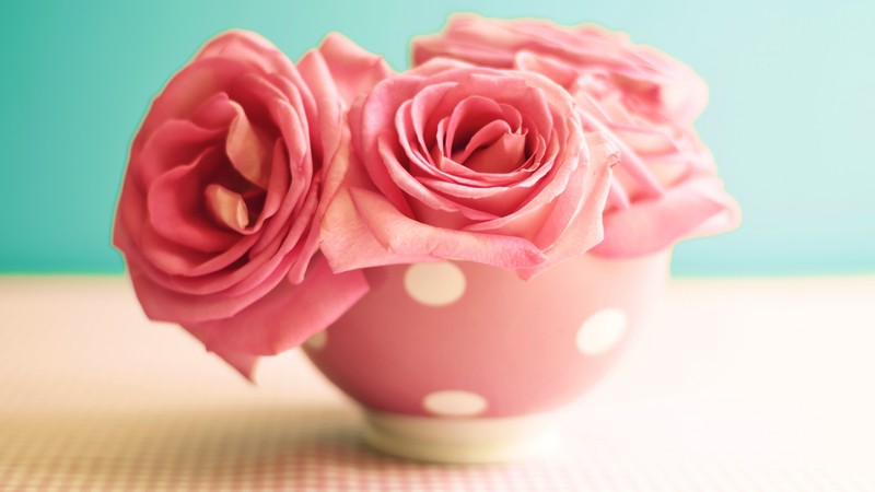 Roses, 4k, flowers, pink, mug