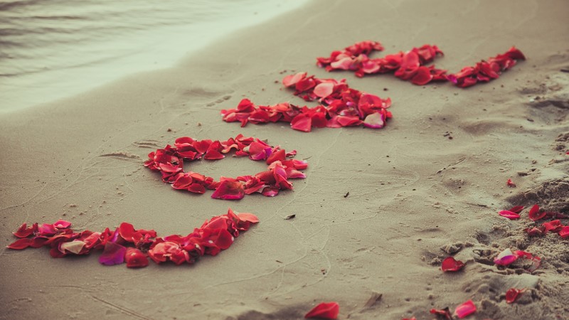 Shore, 4k, beach, petals, love, sand