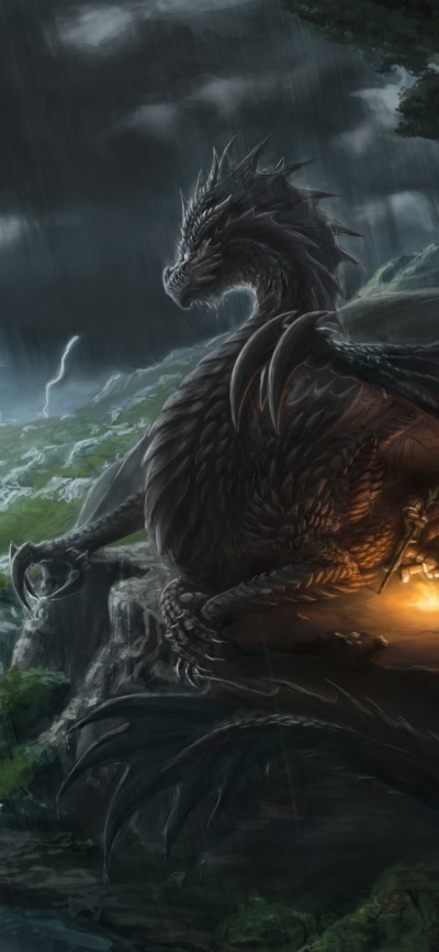 Fantasy Dragon, 1125x2436