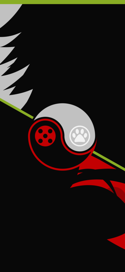 TV Show Miraculous Ladybug, Cat Noir (Miraculous Ladybug), Ladybug (Miraculous Ladybug), 1125x2436