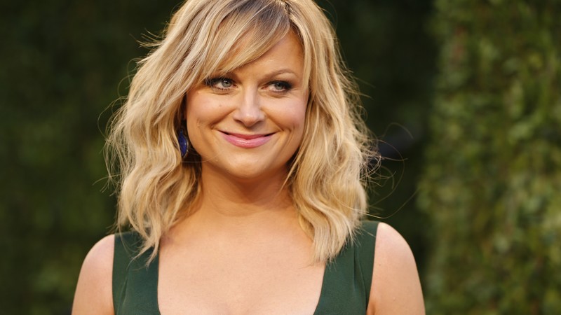 Amy Poehler, 4k, photo
