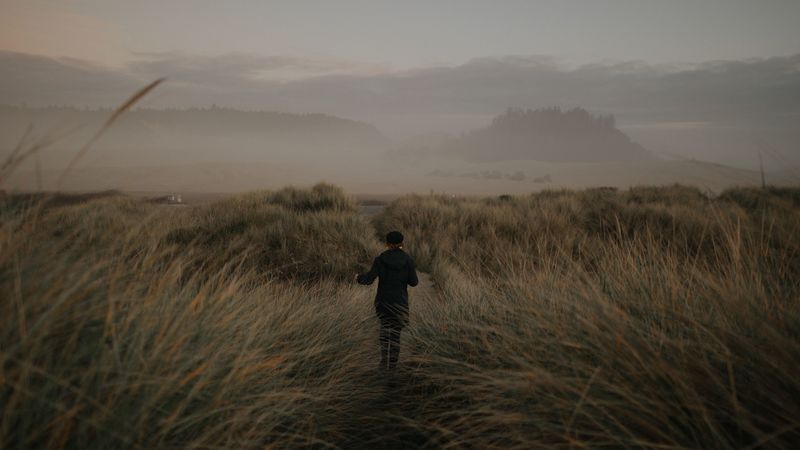 girl, hat, grass, fog, 4k