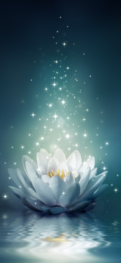 Artistic Flower, Water, Water Lily, Light, 1125x2436