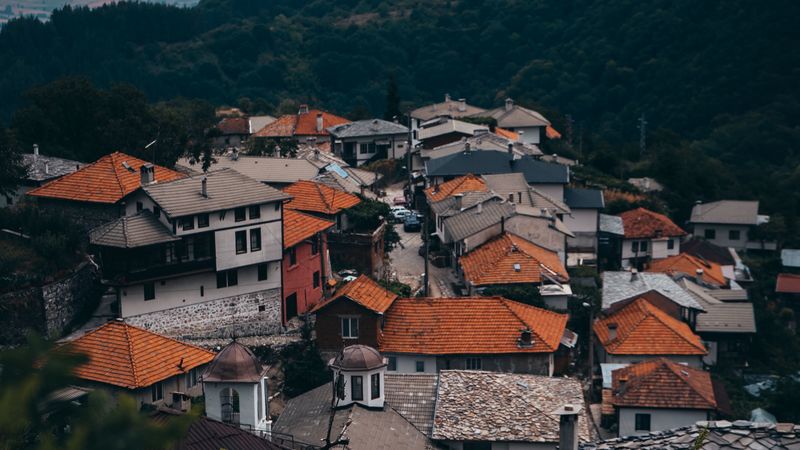 buildings, roofs, forest, grass, hills, 4k