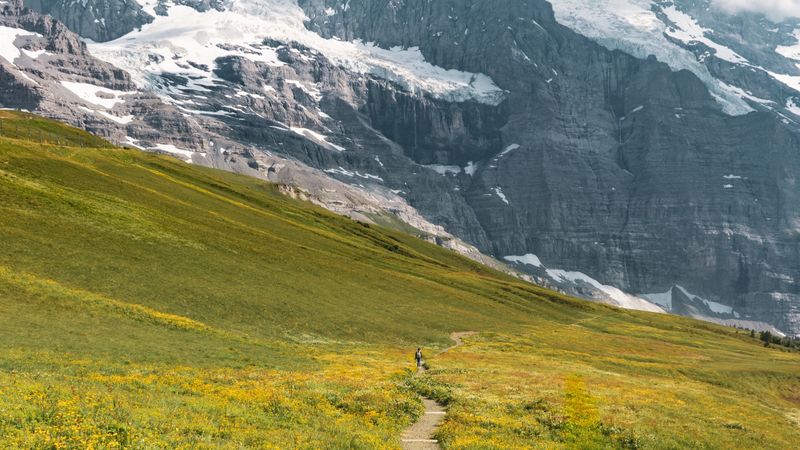 landscape, mountains, grass, walk, pacification, 4k
