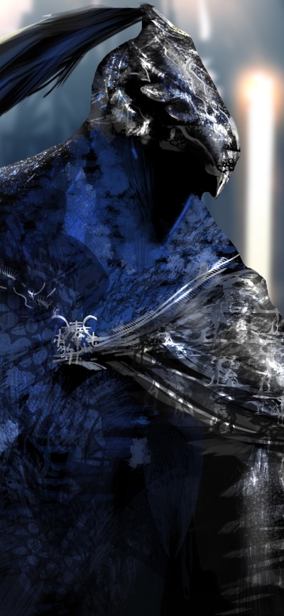 Video Game Dark Souls, Artorias (Dark Souls), Warrior, Artorias The Abysswalker, 1125x2436