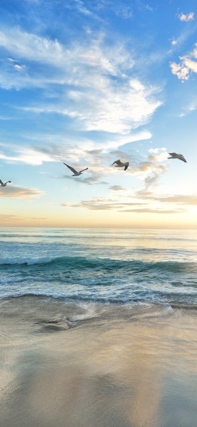 Earth Ocean, Sunrise, Nature, Horizon, 1125x2436