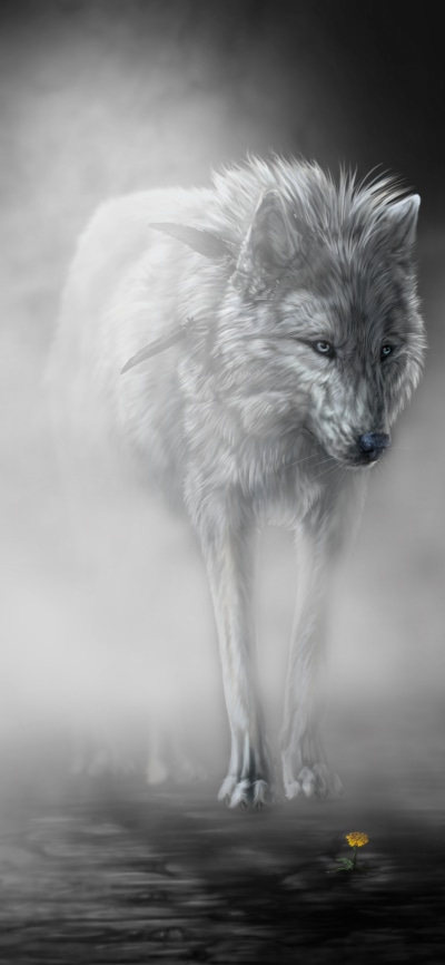 Fantasy Wolf, 1125x2436