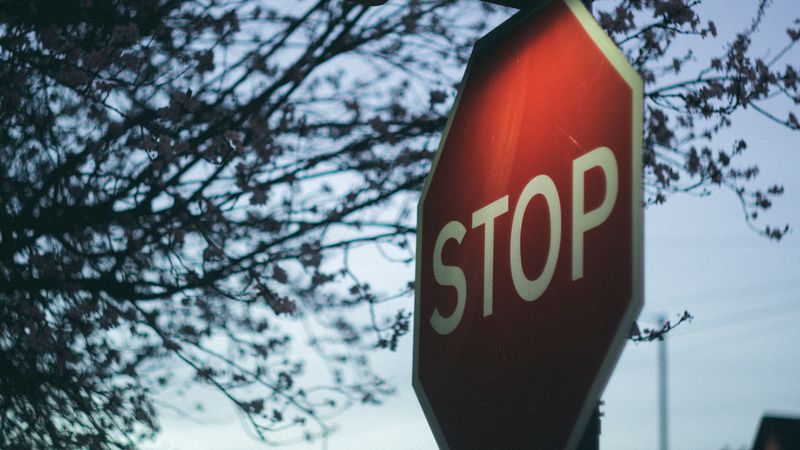 sign, stop, lantern, branch, 4k