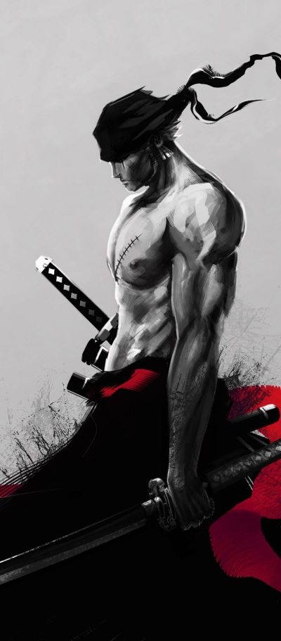 Anime One Piece, Roronoa Zoro, 1080x2460