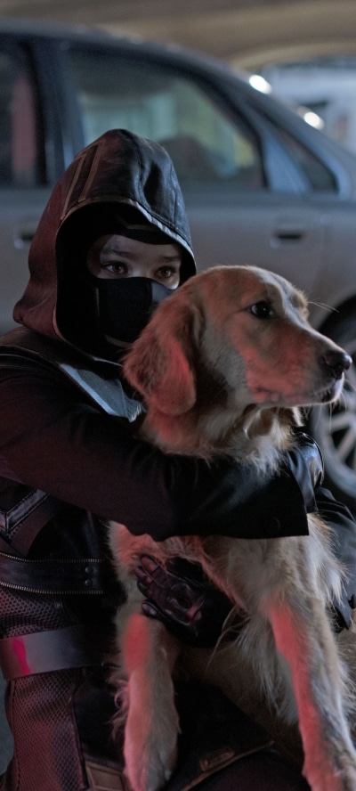 TV Show Hawkeye, Lucky The Pizza Dog, Kate Bishop, Hailee Steinfeld, 1080x2400