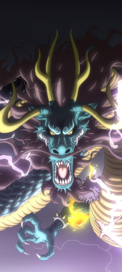 Anime One Piece, Kaido (One Piece), 1080x2400