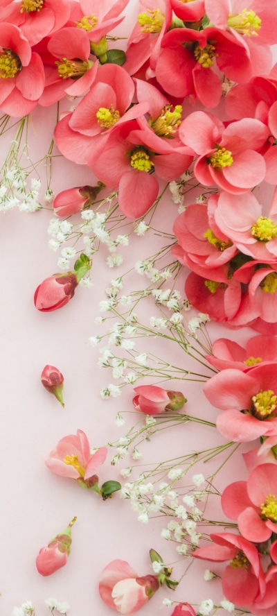 Man Made Flower, Pink Flower, 1080x2400